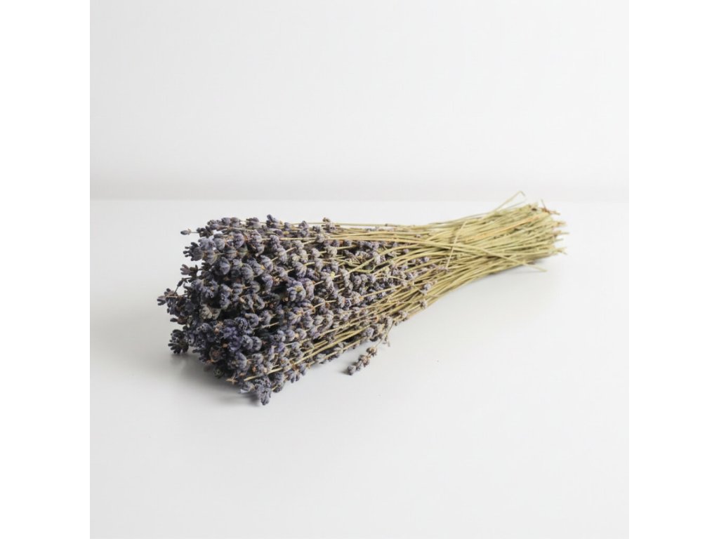 Sušená levandule – natur